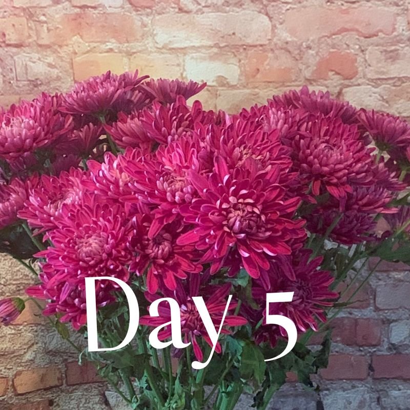 Day 5 bouquet still looking fresh after treatment with Flower Boosters