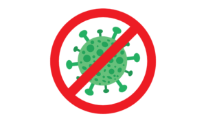 cut flower food for longer lasting flowers