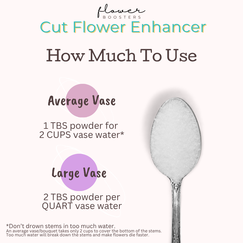 cut flower food