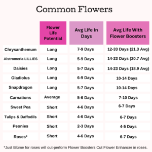 what flowers last longest