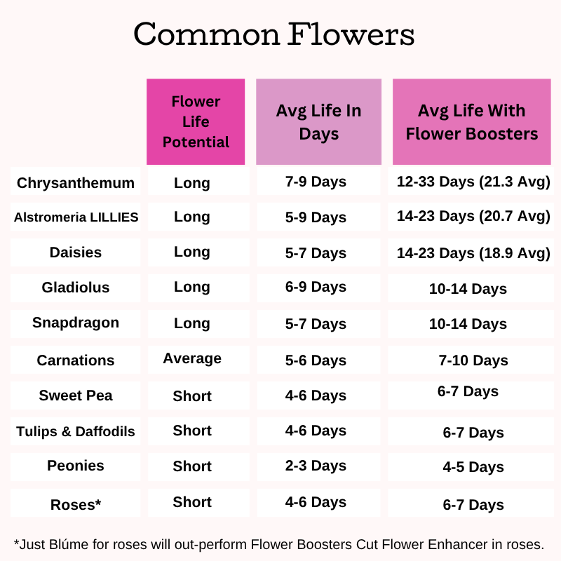 what flowers last longest