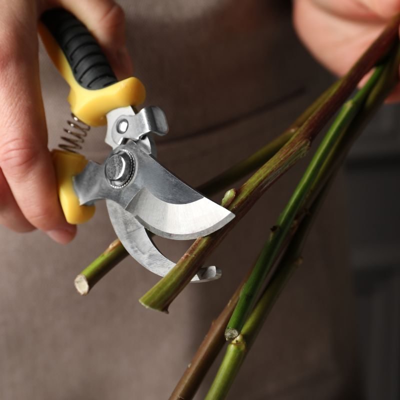 13 how to trim flowers