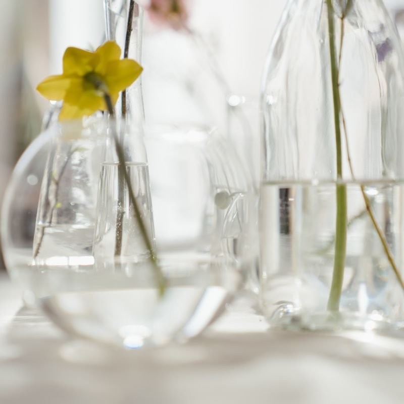 how to keep flowers fresh in a vase