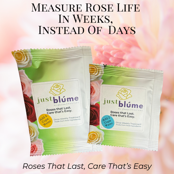 just blume premeasured flower food for cut flowers