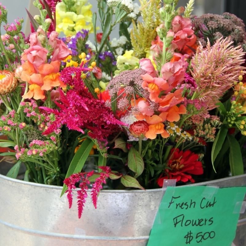 how to tell if cut flowers are fresh or not