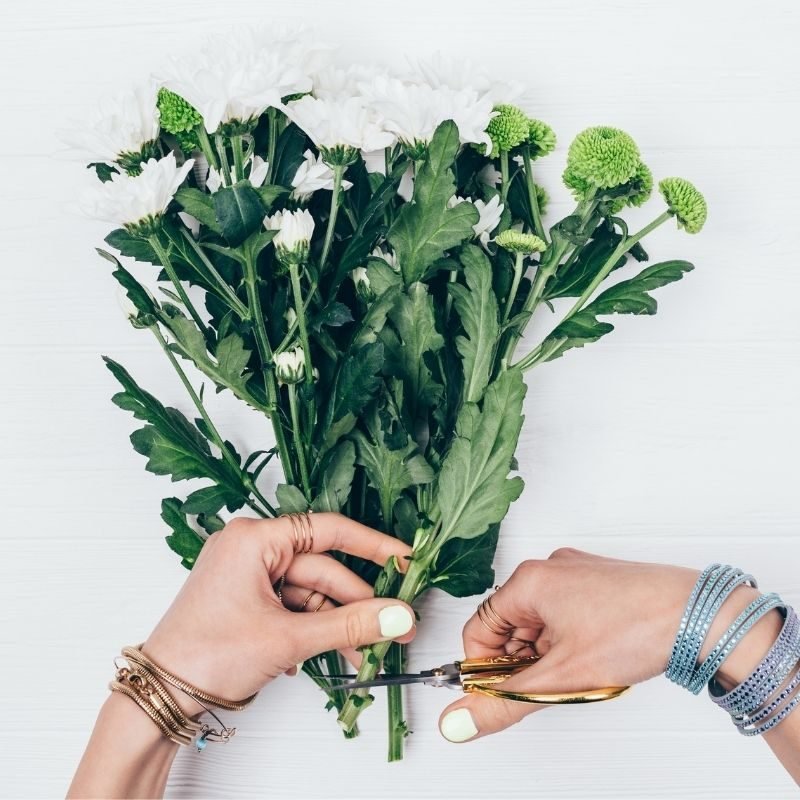 4 how to increase vase life of cut flowers