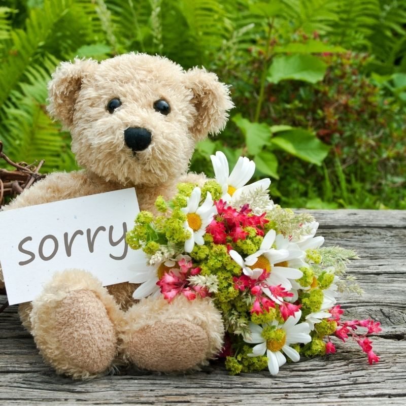 4 apology flowers