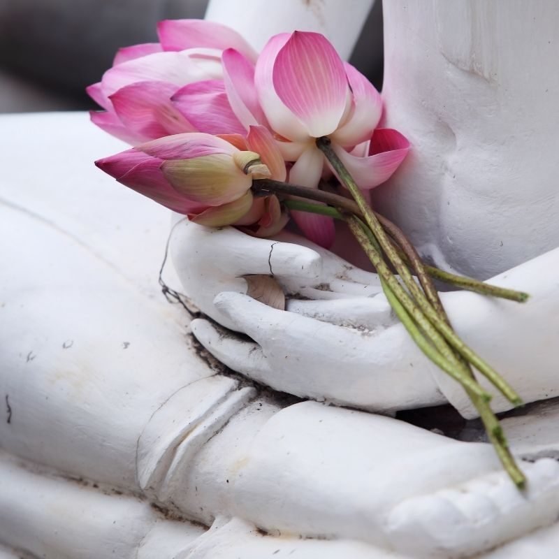 4 flowers in Buddhism
