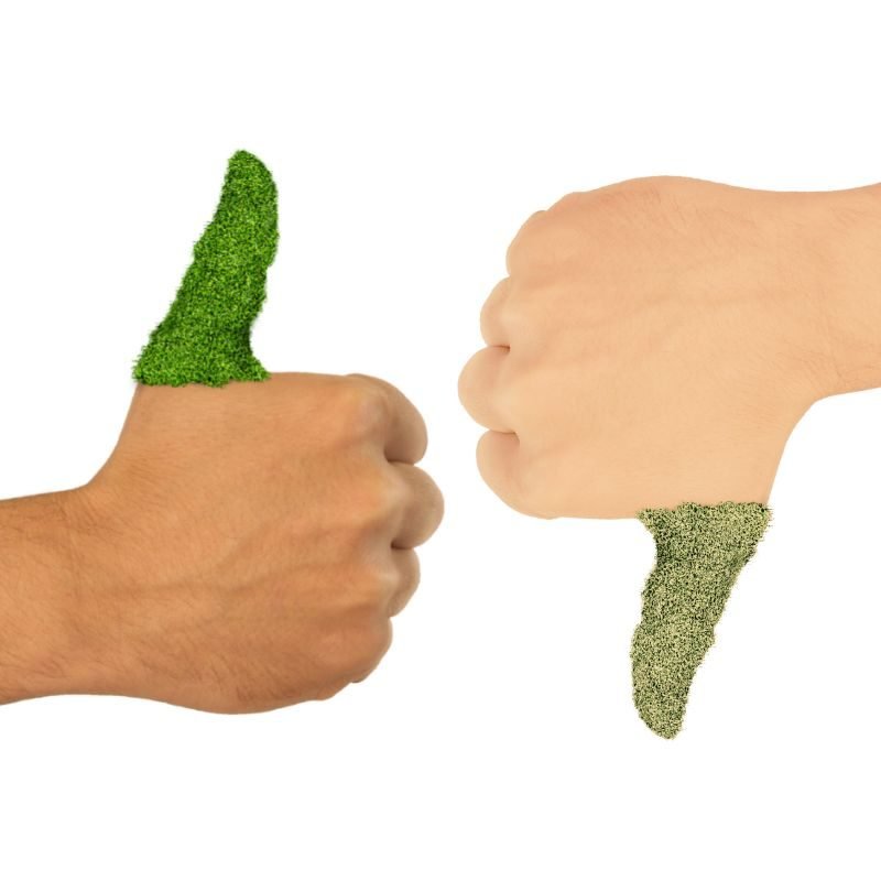 amazon product photos (7) green thumb brown thumb