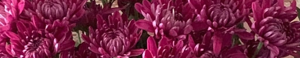 cut flower food that really works