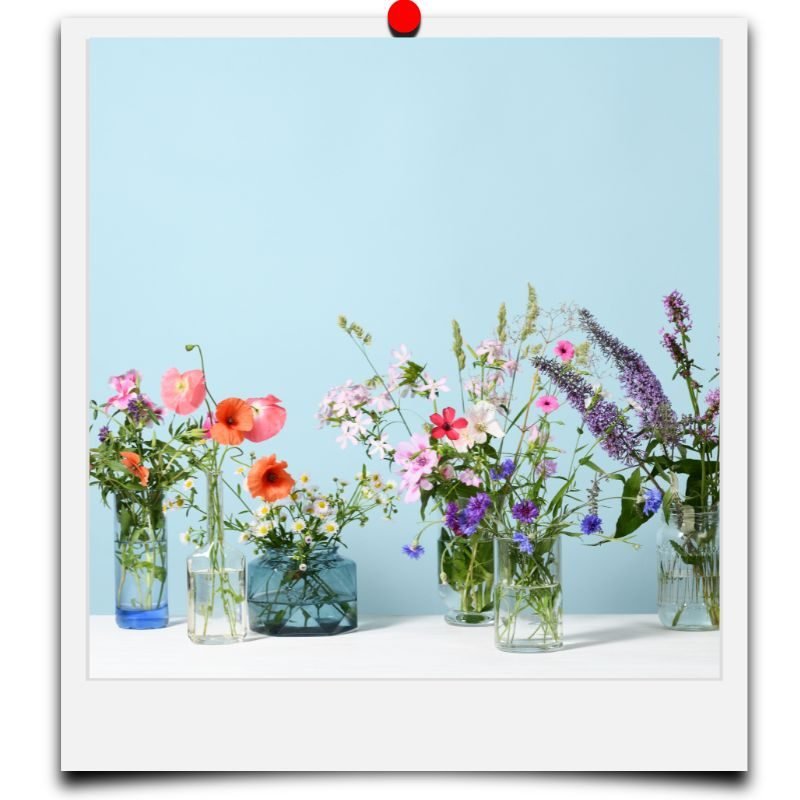 web page pictures follow social media formats – 2022-09-14T102730.566 vase water