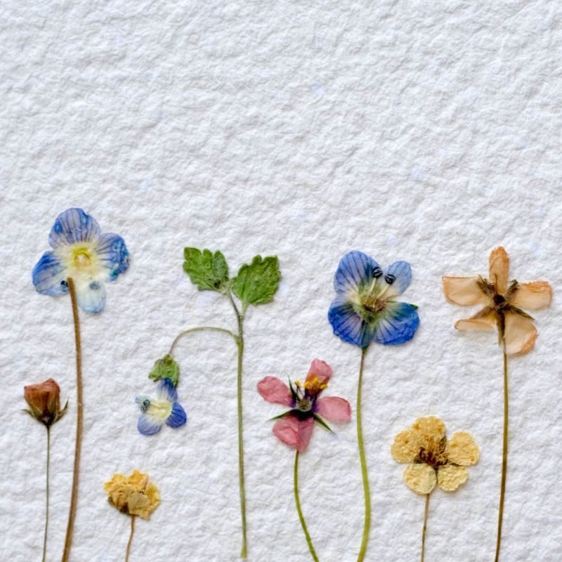 web page pictures follow social media formats – 2022-12-15T154007.341 dried flowers