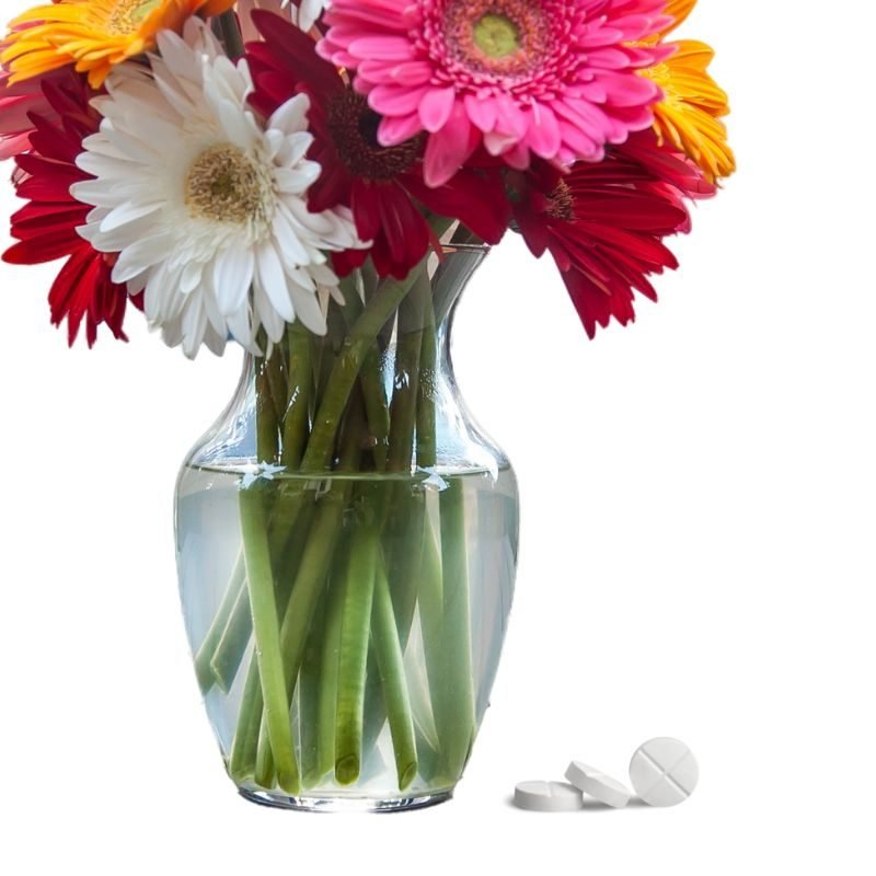 web page pictures follow social media formats – 2022-12-15T161317.648 Aspirin In Flower Water