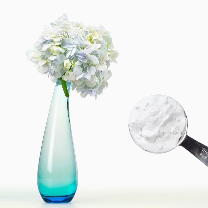 web page pictures follow social media formats – 2022-12-15T163107.602 baking soda cut flowers
