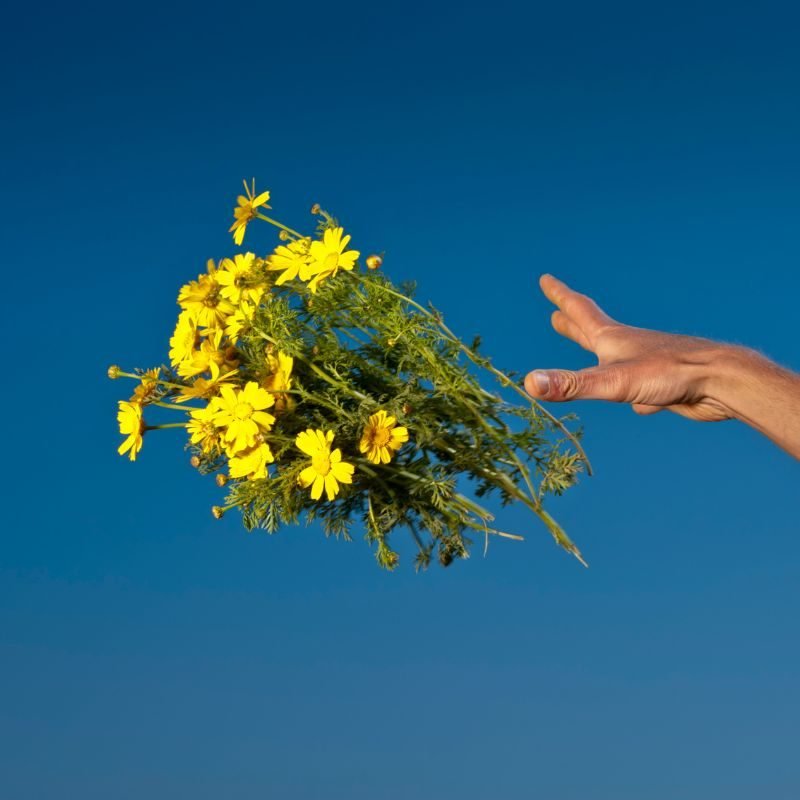 web page pictures follow social media formats – 2023-01-23T190056.387 sorry not sorry