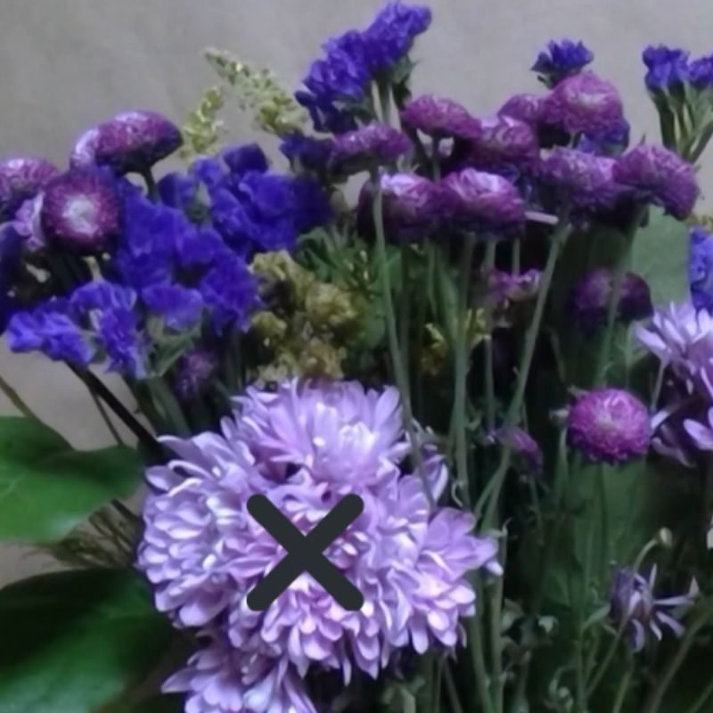 web page pictures follow social media formats (99) dying flowers