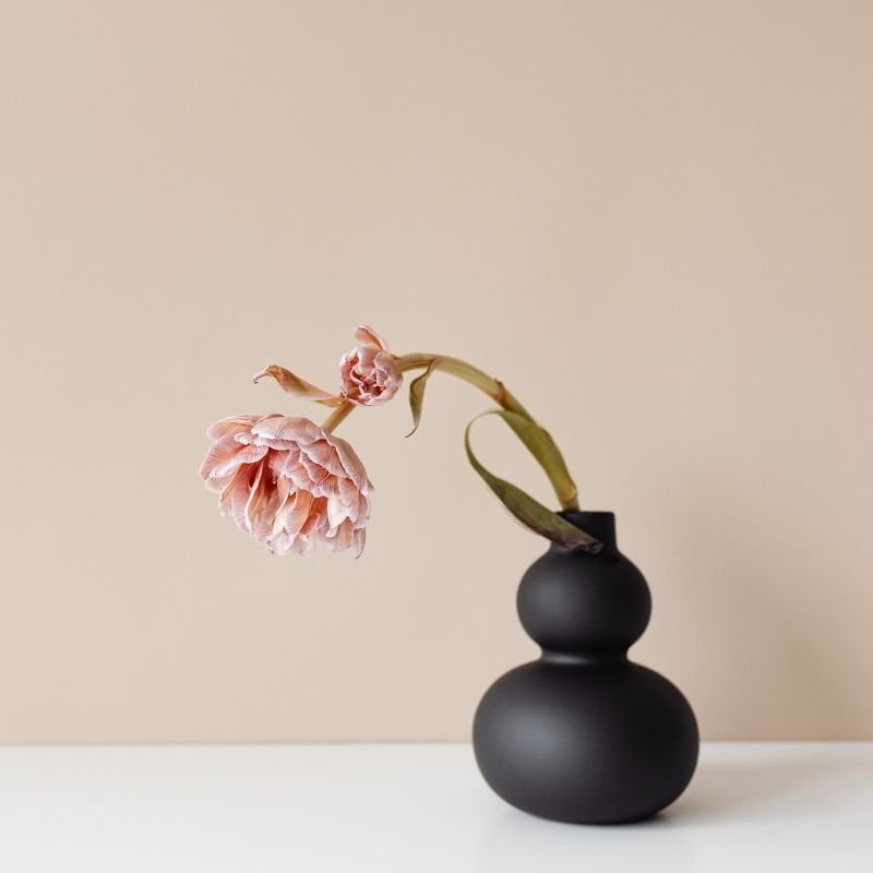 website blog posts and social media (10) how long flowers last